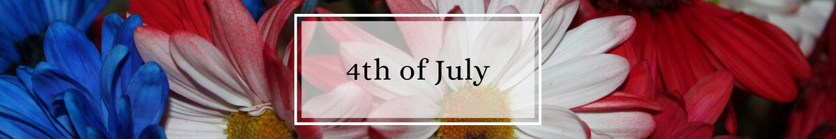 4th of July Banner
